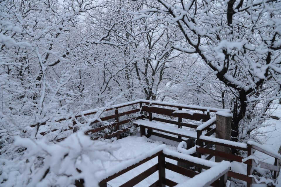 ������ ������ �� ������ � ����