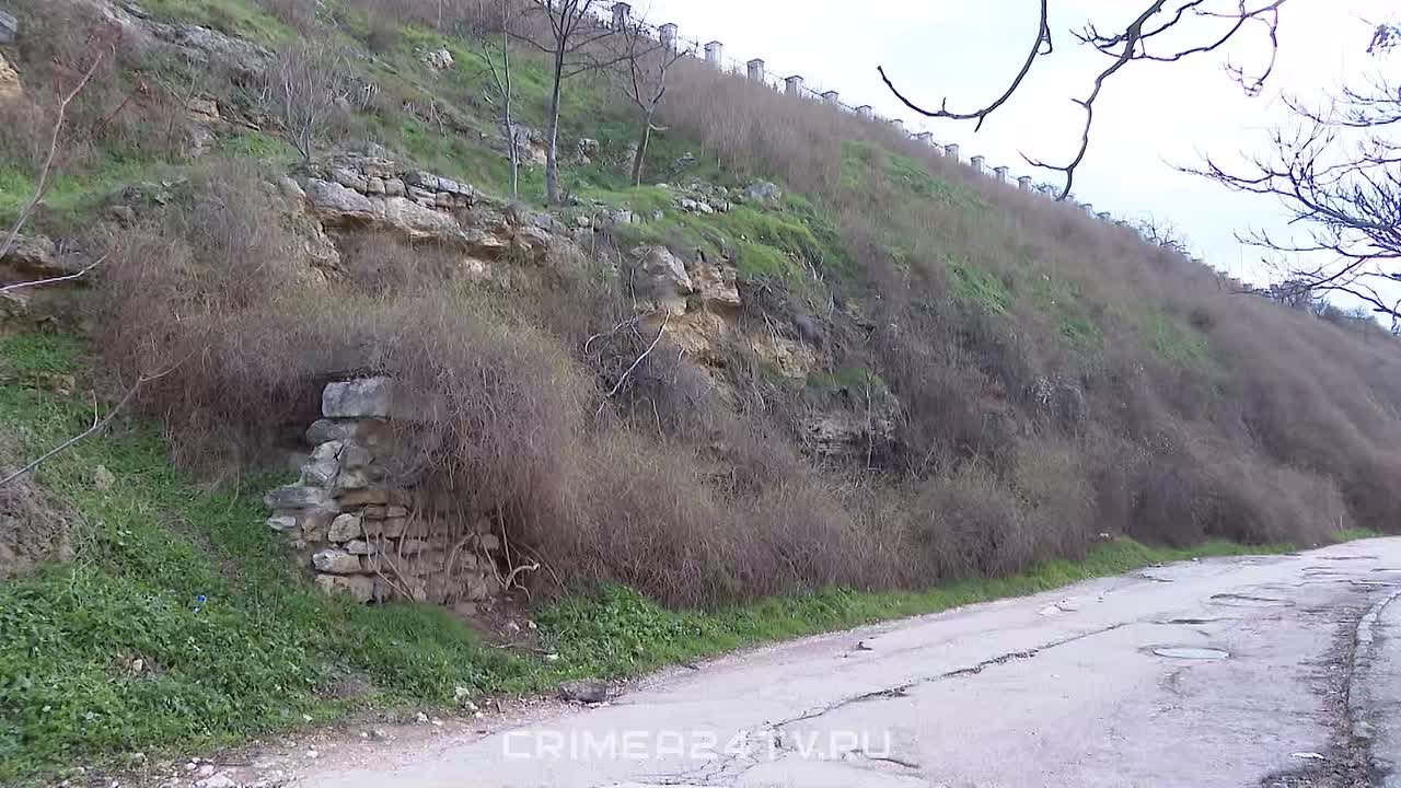 Волонтёры Севастополя создали проект «Южный щит России»