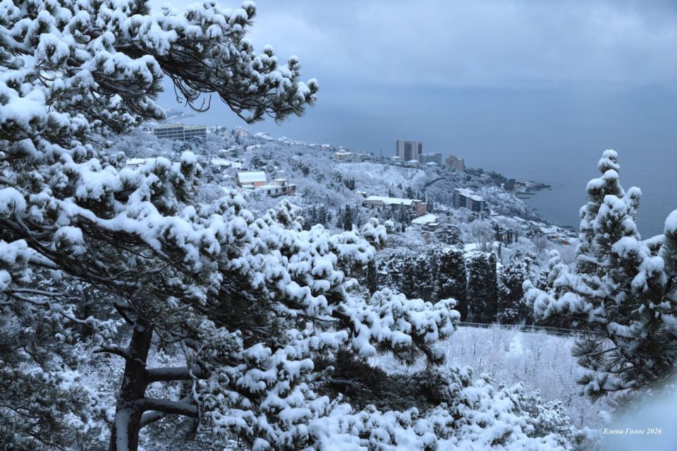 ������ ������ �� ������ � ����