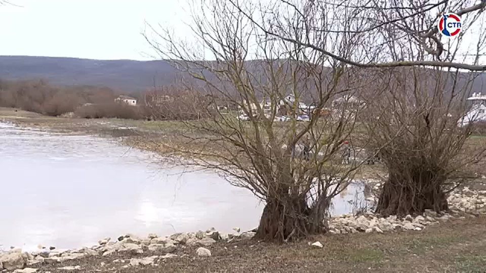 ����������� ����� ����������� ���������� ���������� ��������