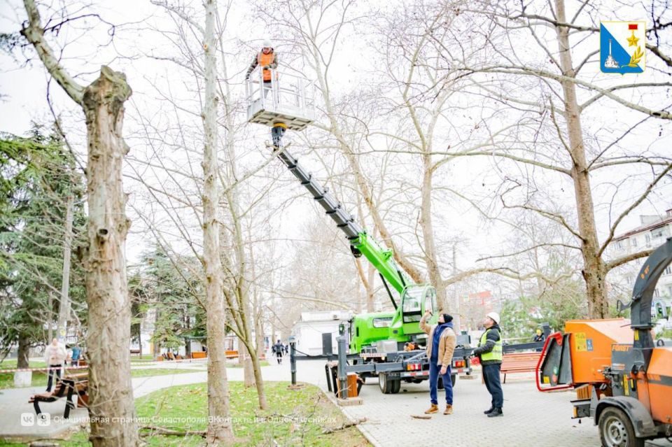 � ����������� �������� �������