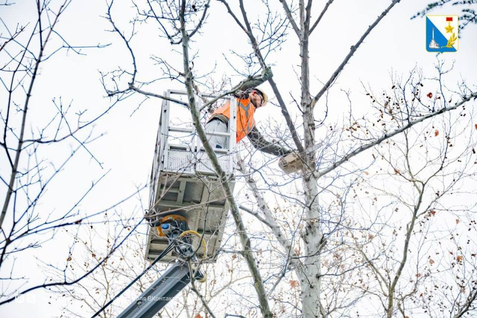 � ����������� �������� �������