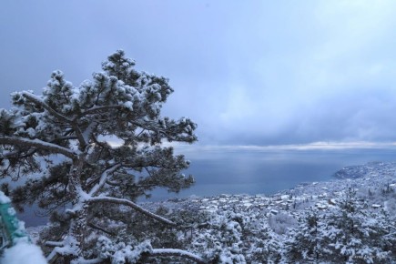 ������ ������ �� ������ � ����