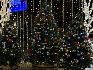 ������ �� 14 ������ :