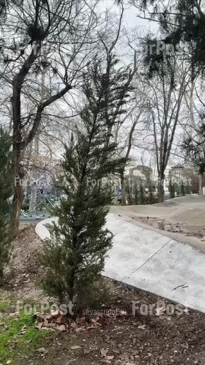 � ������� ����� ����� ����� ����� ������� ������ ����-�����