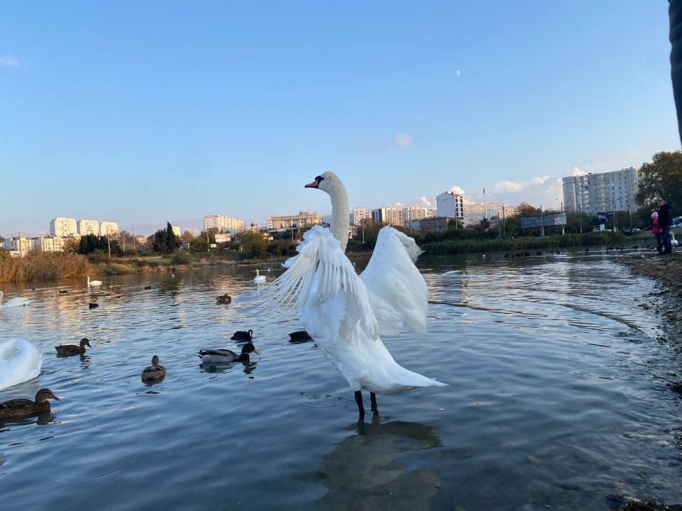 Сегодня в России отмечается День зимующих птиц! Сегодня в России отмечается День зимующих птиц!