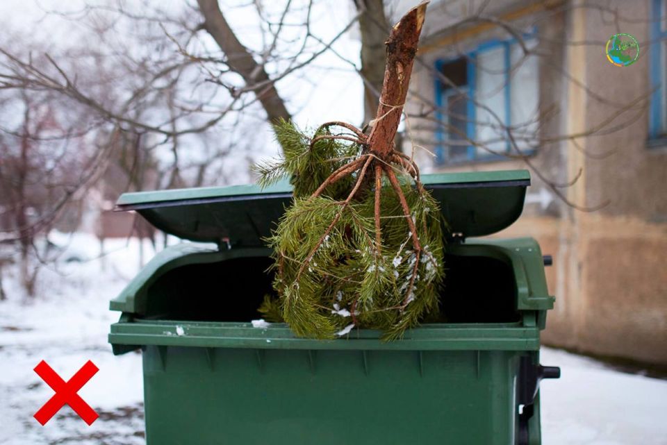 ��� � ������� ��������� � �����