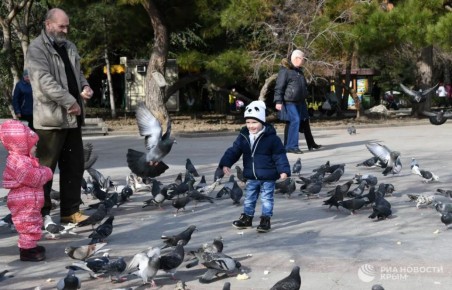 ���� � ����������� � � ������� ������������ ������ �� ������ 2026 ����