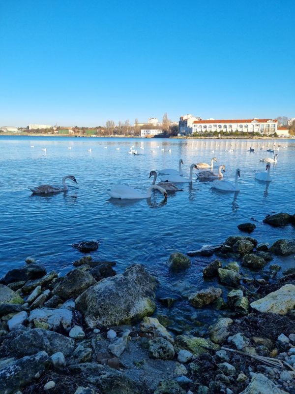 Сегодня в России отмечается День зимующих птиц! Сегодня в России отмечается День зимующих птиц!