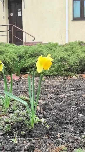 ���� � ����� ������� � ������������� ���������, � ����������� ������������ ��������� ��������