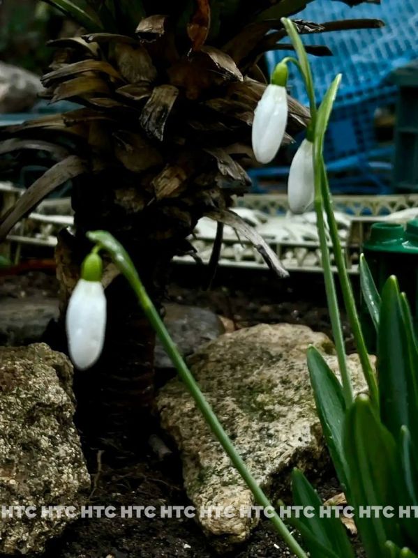 �� ����������� ������� ���������� �����������!