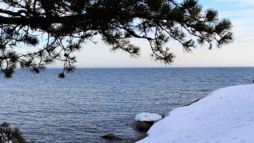 �� �������� � ����� ��������� �������� ������ �� ������ � ������� ������