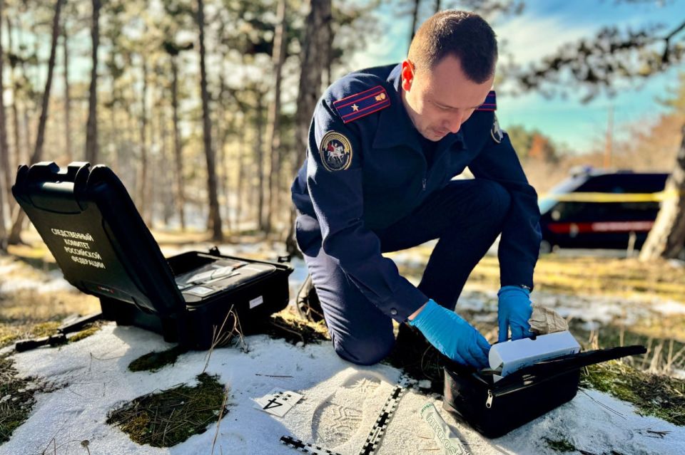 �������� ������������ ���������� � ���������������� ����������