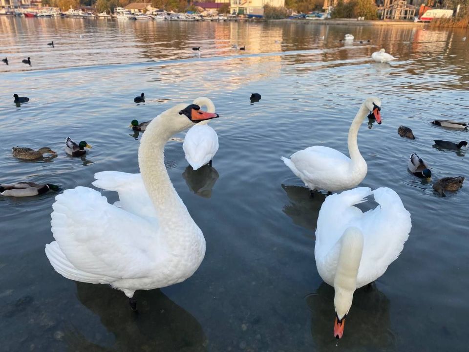 ������� � ������ ���������� ���� �������� ����!