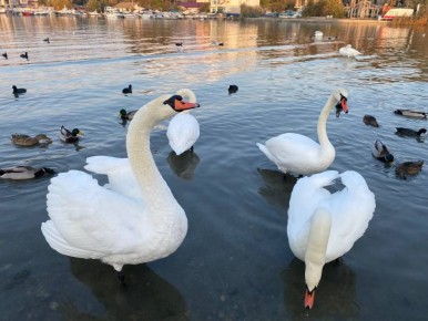 ������� � ������ ���������� ���� �������� ����!