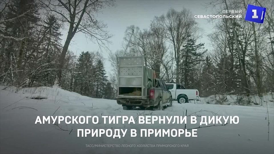 ��������� ����� ������� � ����� ������� � ��������