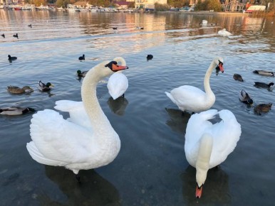 �������, 15 ������, � ������ ���������� ���� �������� ����!