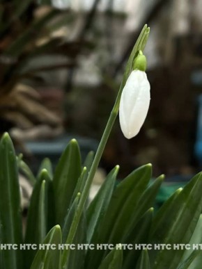 �� ����������� ������� ���������� �����������!