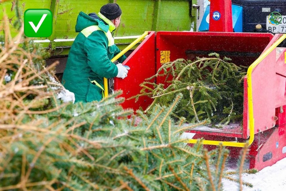 ��� � ������� ��������� � �����