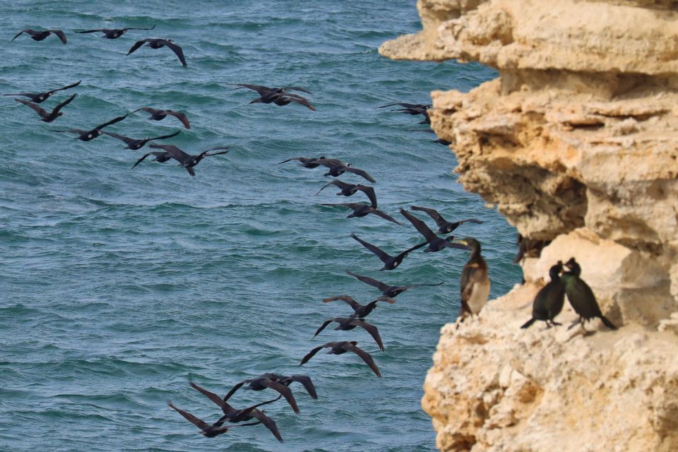 15 ������ - ���� �������� ���� ������