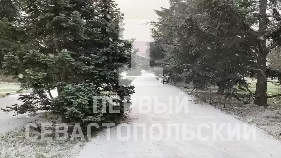 ����������� ������ ��������