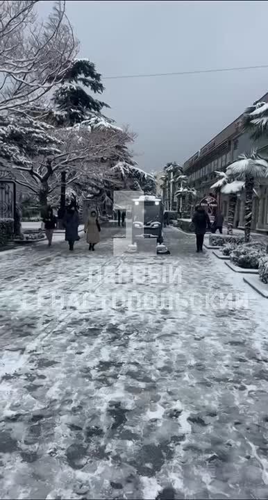 Зимняя сказка в курортной Ялте – южнобережный город накрыл снегопад