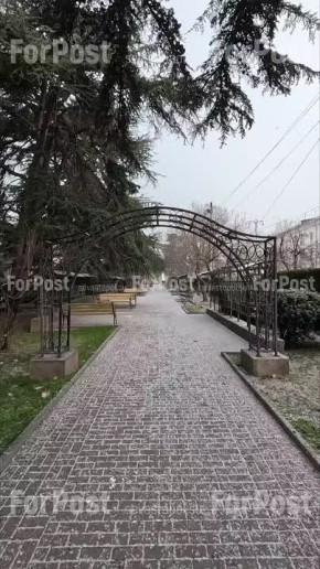 �������� ������� ����������� ��� � �����