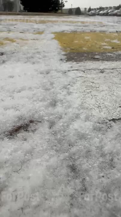 ��������� ����������� ������ � �����������