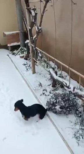 #���_�����. ����� ���� ����� �� ���������, � ��� �������� ����� ���� ������