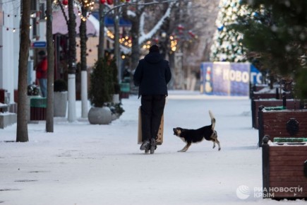 ������� ������ � ����� �� �������