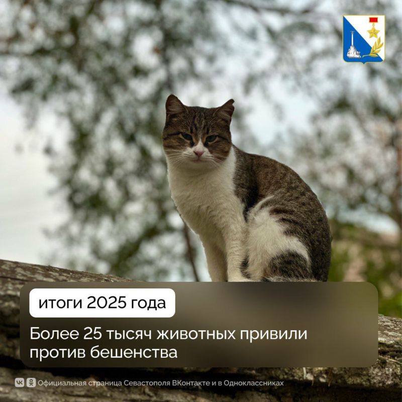 � ����������� �� 2025 ��� ������������� ����� 25 ����� ��������