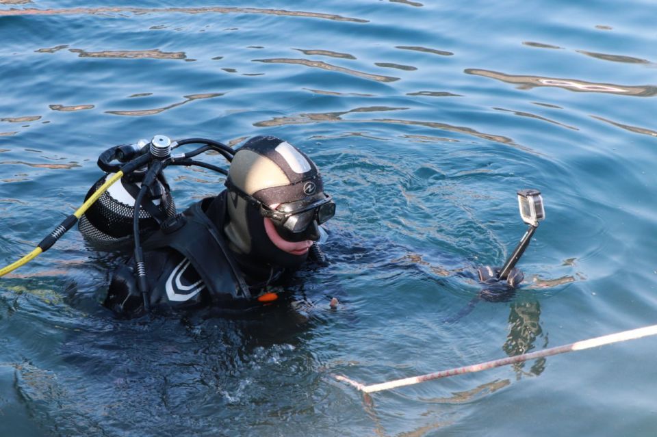 ������������ ������ ����������� ��������� ��� � ������ ���������� �������