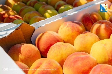 ����� ��������� ������ �������� �� ��������� ������� ����������� ����������� � 2025 ����