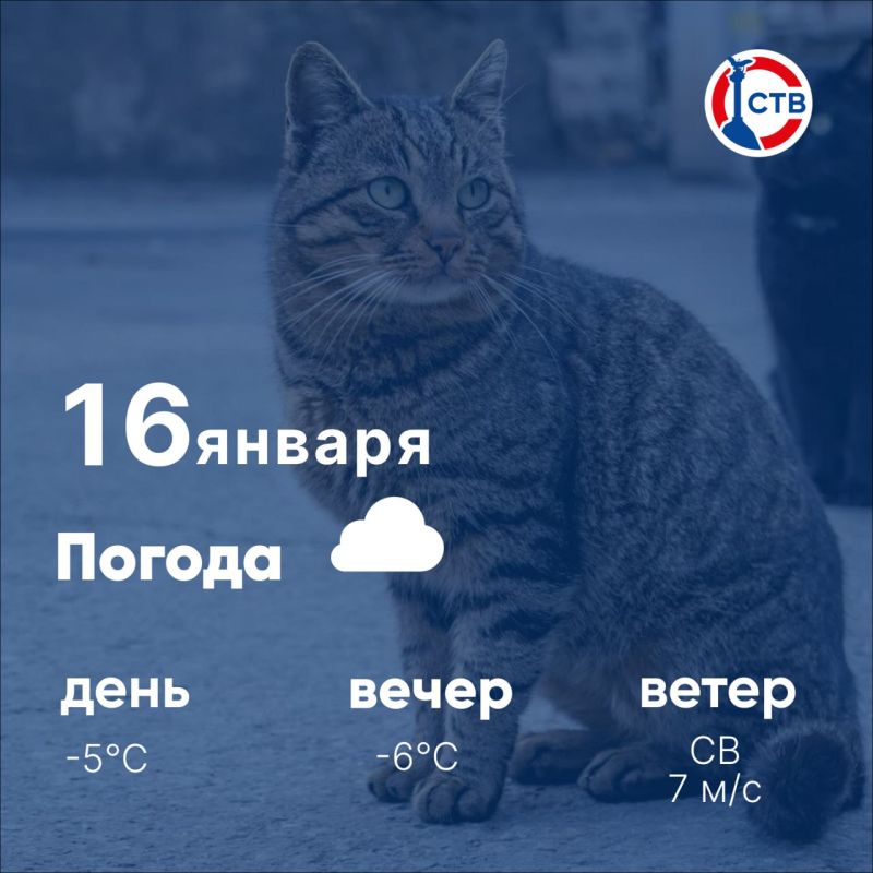 Доброе утро, севастопольцы! Пятница обещает облачное небо и по-зимнему холодную погоду: днём около 5 °C, к вечеру похолодает до 6 °C. Температура морской воды у побережья — примерно +9 °C. Одевайтесь теплее, берегите себя и...