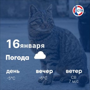 ������ ����, �������������! ������� ������� �������� ���� � ��-������� �������� ������: ���� ����� 5 �C, � ������ ���������� �� 6 �C. ����������� ������� ���� � ��������� � �������� +9 �C. ���������� ������, �������� ���� �...