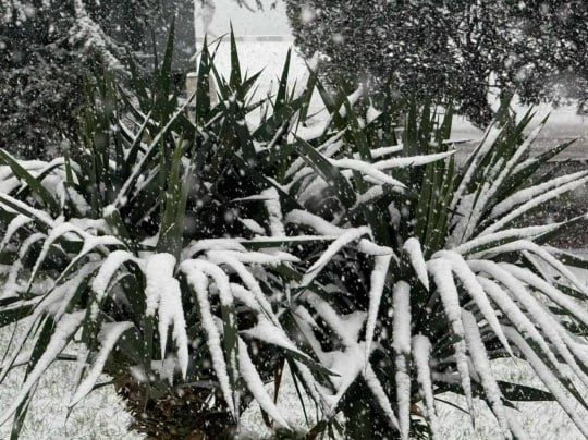 � ���� ����� ������: � ������ ��-�� ������� ������� ��������� ��������