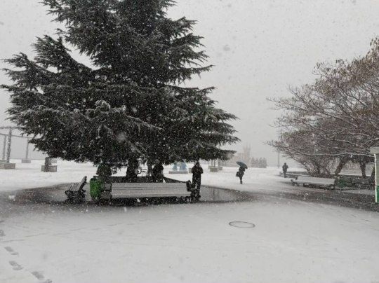 � ���� ����� ������: � ������ ��-�� ������� ������� ��������� ��������