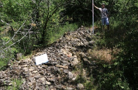 � ������������ ����������� ���������� ����������� ������� ��������