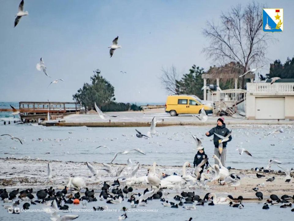 ��������� � ������ ��������� ������������ �� ������ ����������� �������