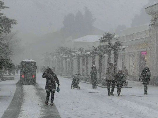 � ���� ����� ������: � ������ ��-�� ������� ������� ��������� ��������