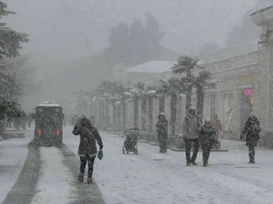 � ���� ����� ������: � ������ ��-�� ������� ������� ��������� ��������