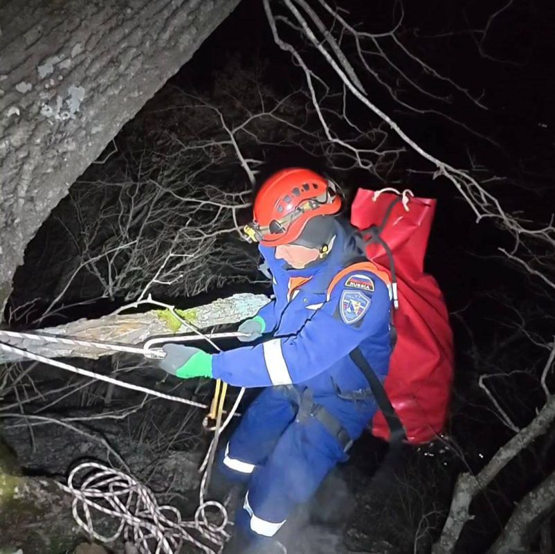 ����������� � ����� ������� ������������ � �������-���