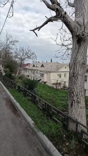 ��� ����� �� ���� �������. � ���