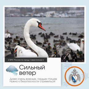 ������ ����, �����������!. �� ������ ��������������, 17 ������ � ����������� ����� ������� � ������������