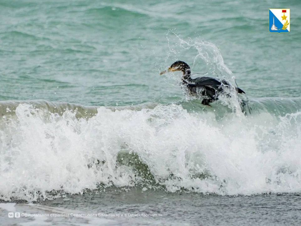 ��������� � ������ ��������� ������������ �� ������ ����������� �������