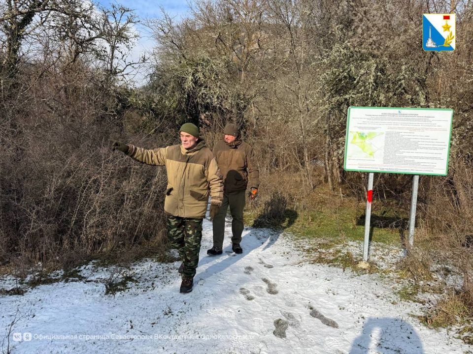 ��������������� ������������ ���������� ������ �� ����� ���������� ��������� �����������