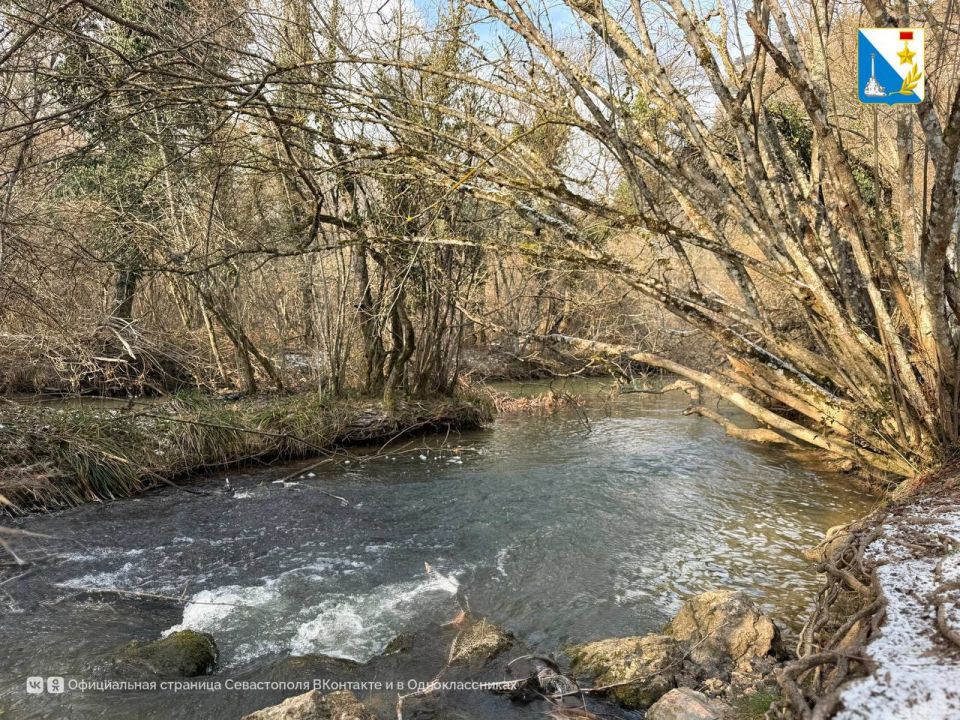 ��������������� ������������ ���������� ������ �� ����� ���������� ��������� �����������