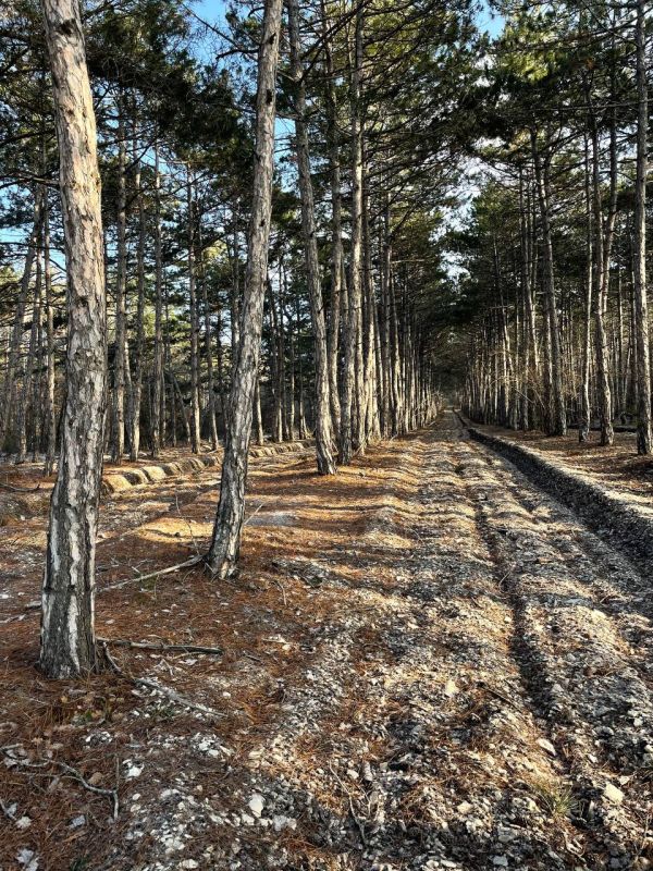 ���� ����������������. ������� ���������: �������� ������ ������� � ���������� ��� �������� ����, ��� ���� �������