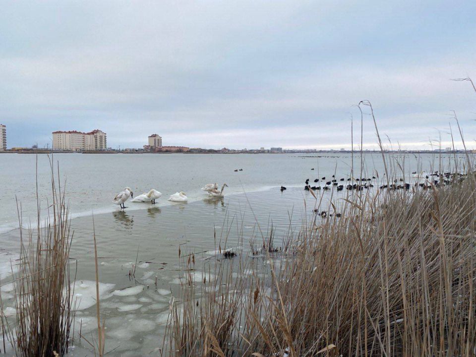 ��� ��������� ���� ������ � ����� � ���������?