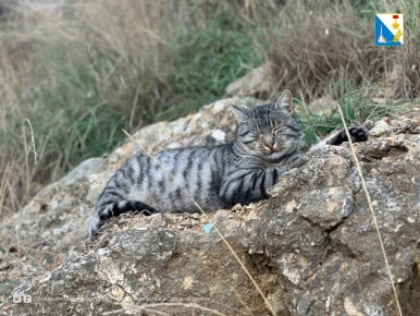 �� �������� ������������ ������������� ����� 100 ��������